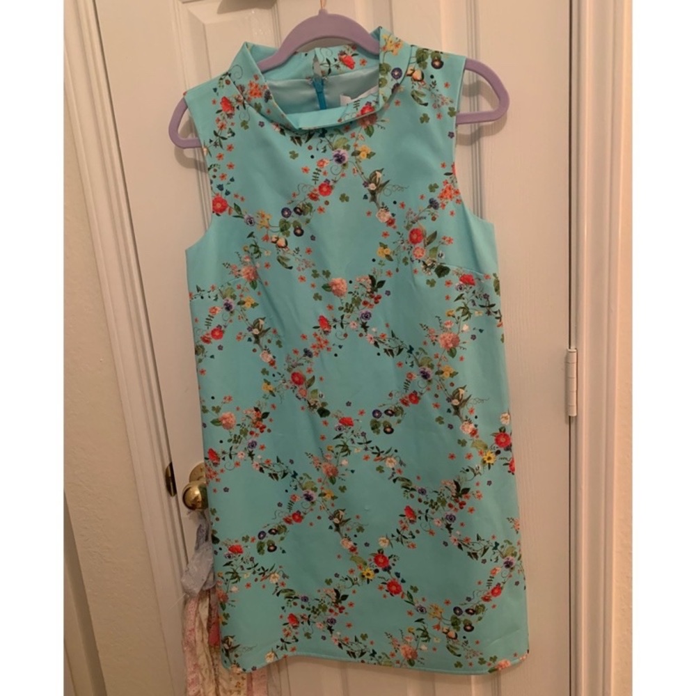 NWT Molly Moorkamp Bluebell shift
